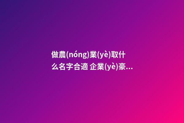 做農(nóng)業(yè)取什么名字合適 企業(yè)豪氣又好聽名稱,起名之家-第1張-公司起名-玄機(jī)派